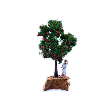 Albero di mele 13 cm