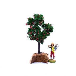 Albero di mele 13 cm